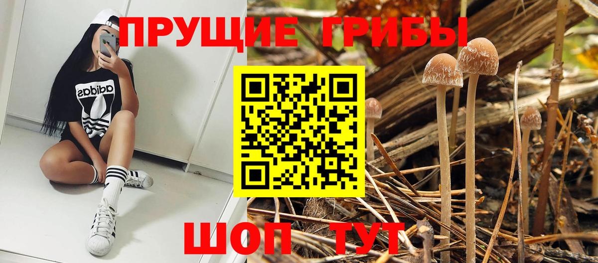 Псилоцибиновые грибы Cubensis  Псилоцибиновые грибы MAGIC MUSHROOMS  Комсомольск-на-Амуре  Вход с VPN 