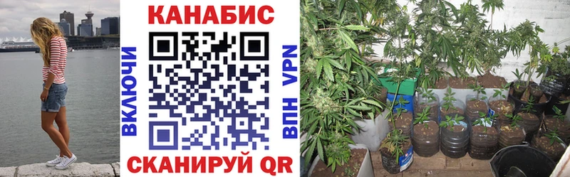 площадка как зайти  МЕГА рабочий сайт  Шишки марихуана White Widow  Комсомольск-на-Амуре  где можно купить  